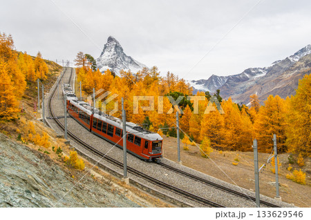 Gornergrat Railway Train, Matterhorn Mountain and Golden Larches in Autumn. Switzerland 133629546