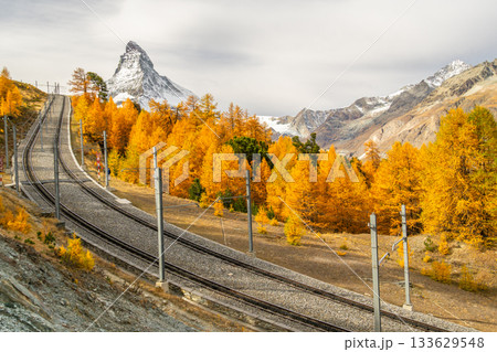Gornergrat Railway, Matterhorn Mountain and Golden Larches in Autumn. Switzerland 133629548