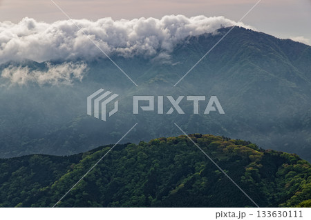 丹沢表尾根から見る雲掛かる大山 133630111