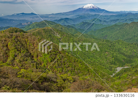 丹沢・塔ノ岳から見る新緑の山並みと富士山 丹沢・塔ノ岳から見る新緑の山並みと富士山 133630116