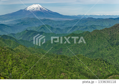 丹沢・塔ノ岳から見る新緑の山並みと残雪の富士山・南アルプス 133630118