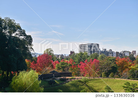 金沢城玉泉院丸庭園の紅葉 金沢城玉泉院丸庭園の紅葉 133630316
