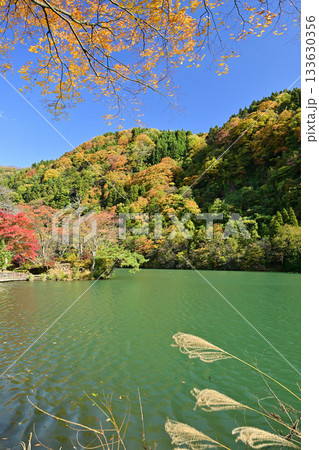 庄川・水記念公園の紅葉 133630356