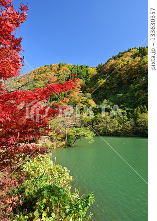 庄川・水記念公園の紅葉 133630357