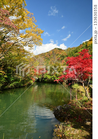 庄川・水記念公園の紅葉 133630358