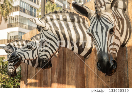Lifelike zebra heads sculpture on urban wooden fence 133630539