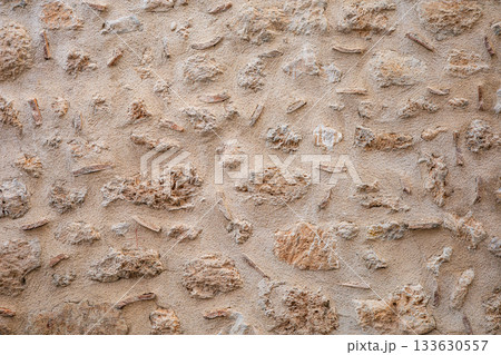 Textured stone and plaster wall surface with natural patterns Textured stone and plaster wall surface with natural patterns 133630557