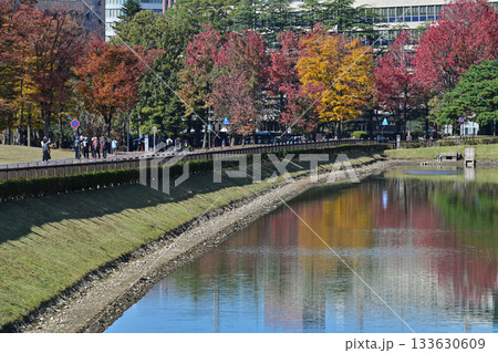 しいのき緑地の紅葉 しいのき緑地の紅葉 133630609