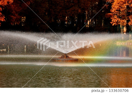 紅葉に染まる池を彩る噴水の虹 133630706