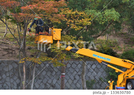 公園の木の伐採作業 環境保全や安全対策 公共事業 公園の木の伐採作業 環境保全や安全対策 公共事業 133630780