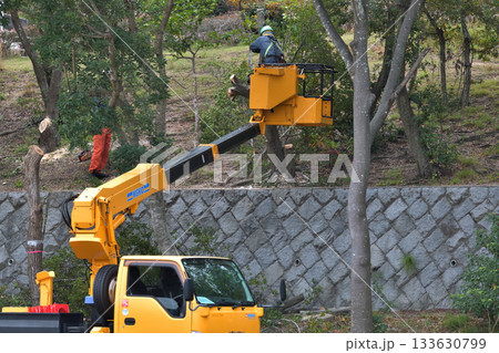 公園の木の伐採作業 環境保全や安全対策 公共事業 公園の木の伐採作業 環境保全や安全対策 公共事業 133630799
