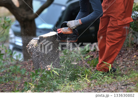 公園の木　チェーンソーで伐採作業　環境保全や安全対策　公共事業 133630802