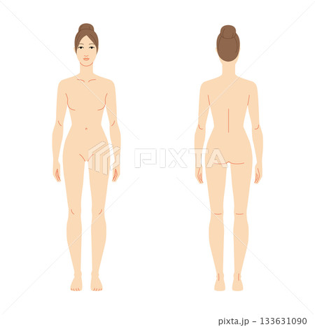 Vector illustration of a 7 head woman, displaying multiple angles including front, side, and back. Perfect for fashion 133631090