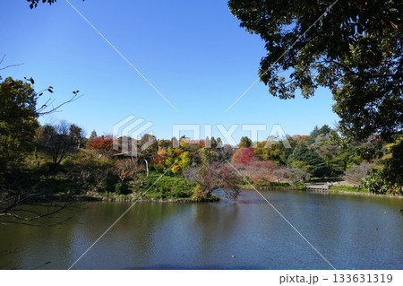 公園の秋 公園の秋 133631319