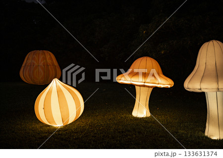 飾り デコレーション 装飾 133631374