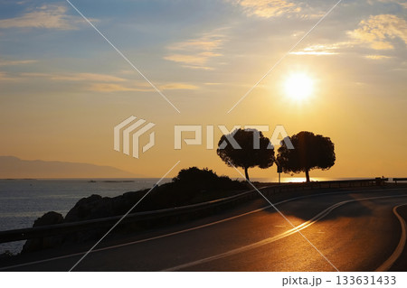 Dark silhouette of trees against sunset Dark silhouette of trees against sunset 133631433
