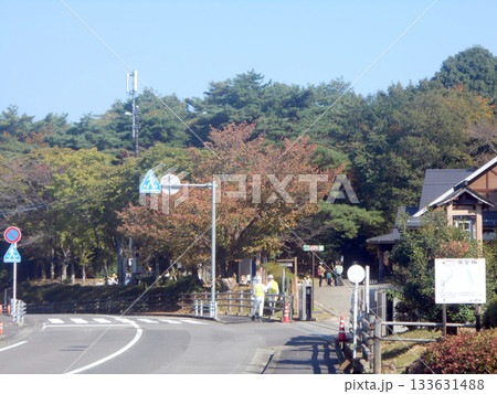 公園と図書館を併設した複合施設の広場風景 133631488