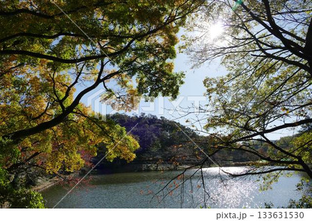 公園の秋 公園の秋 133631530