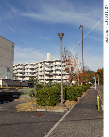 穏やかな日差しに包まれた集合住宅エリアの風景 穏やかな日差しに包まれた集合住宅エリアの風景 133631587