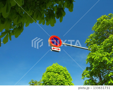 春の新緑の栃の木と交通標識 春の新緑の栃の木と交通標識 133631731