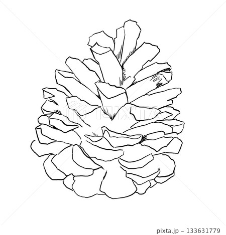 線画まつぼっくりのシンプルイラスト 線画まつぼっくりのシンプルイラスト 133631779