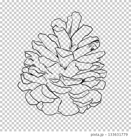 線画まつぼっくりのシンプルイラスト 線画まつぼっくりのシンプルイラスト 133631779