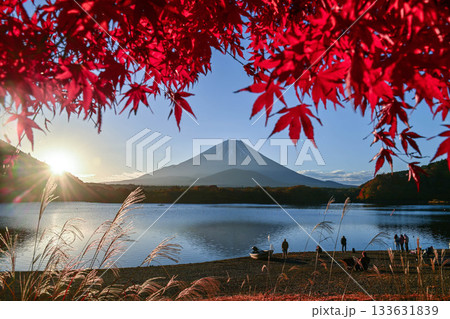 紅葉が美しい精進湖から望む富士山 紅葉が美しい精進湖から望む富士山 133631839