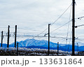 電線越しに望む立山連峰の冬景色 133631864