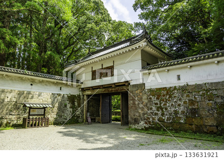 飫肥城 大手門 宮崎県日南市 飫肥城 大手門 宮崎県日南市 133631921
