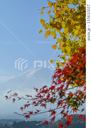 紅葉やイチョウが美しい河口湖からの富士山 紅葉やイチョウが美しい河口湖からの富士山 133632027