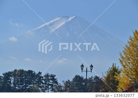 河口湖大池公園の初冬の景色 133632077