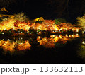 池に映る紅葉 133632113