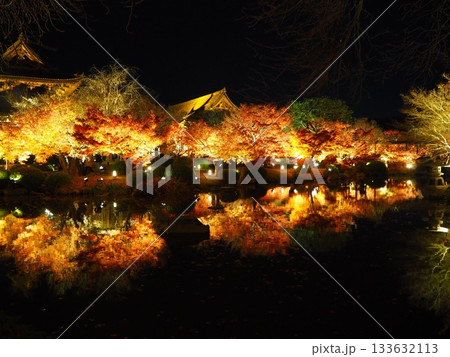 池に映る紅葉 池に映る紅葉 133632113