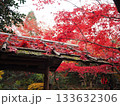 紅葉と赤い屋根 133632306