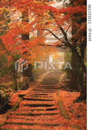 龍穏寺 紅葉落葉の絨毯 133632396