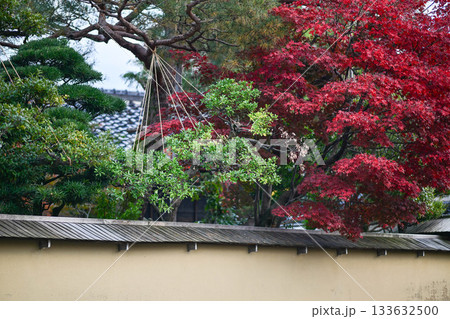 晩秋の金沢長町武家屋敷跡 晩秋の金沢長町武家屋敷跡 133632500
