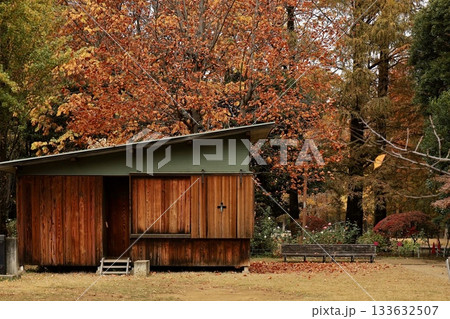 紅葉の森に佇む小さな木小屋 別所沼公園ヒヤシンスハウス 紅葉の森に佇む小さな木小屋 別所沼公園ヒヤシンスハウス 133632507