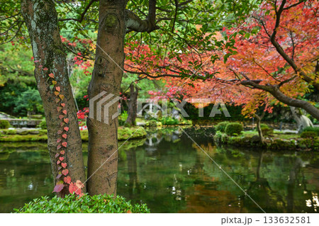 尾山神社の晩秋 尾山神社の晩秋 133632581