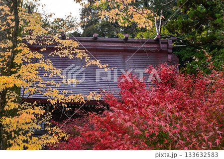 尾山神社の晩秋 133632583