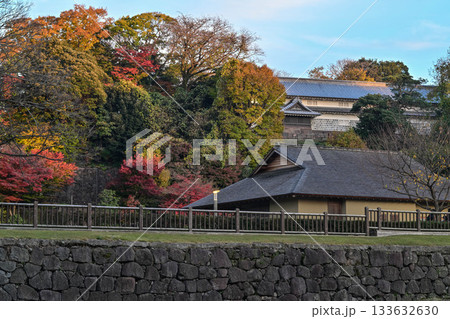 金沢城玉泉院丸庭園の晩秋 金沢城玉泉院丸庭園の晩秋 133632630