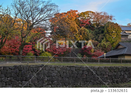 金沢城玉泉院丸庭園の晩秋 133632631