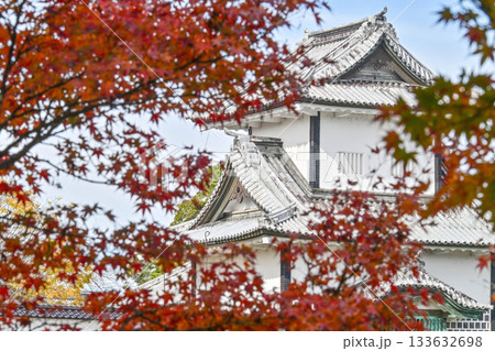 美しい紅葉が広がる金沢城公園 133632698