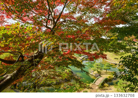 美しい紅葉が広がる金沢城公園 133632708