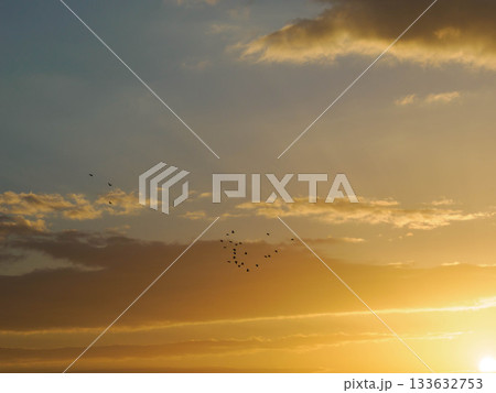 都市の夜明け 神戸市東灘区岡本の梅林公園からの日の出 都市の夜明け 神戸市東灘区岡本の梅林公園からの日の出 133632753