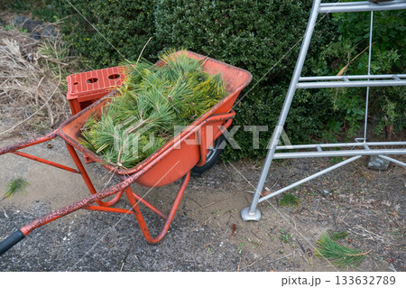 Japanese Gardener 133632789