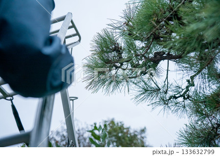 Japanese Gardener Japanese Gardener 133632799