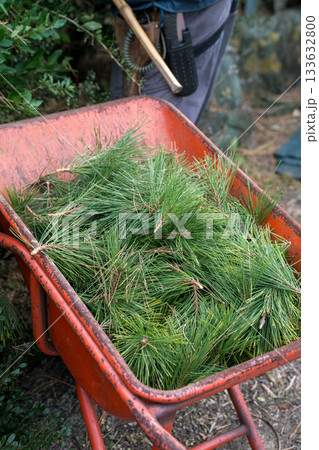 Japanese Gardener Japanese Gardener 133632800