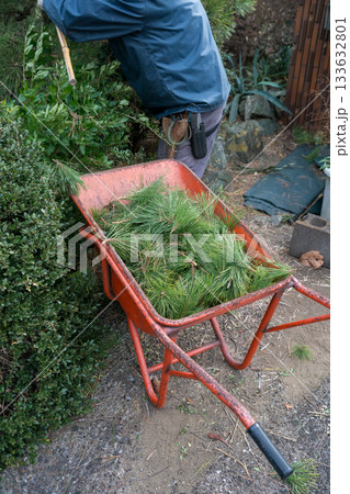 Japanese Gardener 133632801