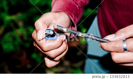 A close-up of frankincense resin.  Frankincense resin is used for mystical, medicinal, and cosmetic purposes 133632813