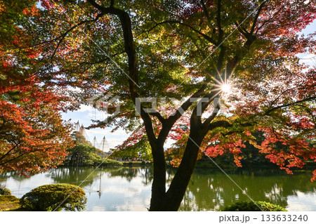 紅葉が美しい晩秋の兼六園 紅葉が美しい晩秋の兼六園 133633240